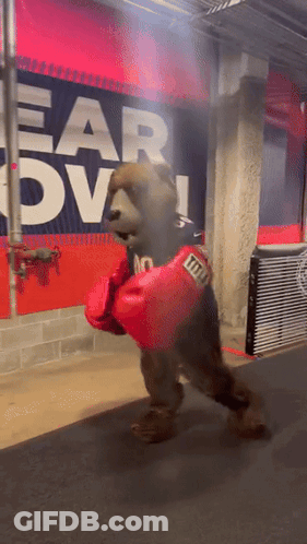 Bear In Boxing Gloves Walking Past Ear Ov Sign GIF