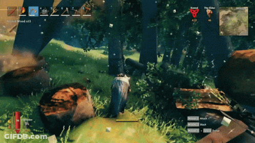 Bear In The Woods With Map GIF