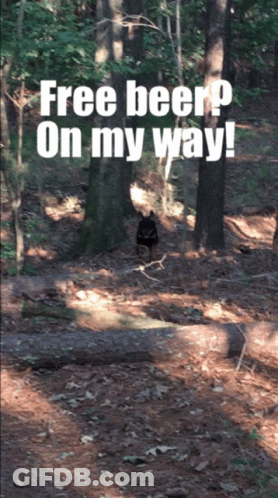 Bear In Woods Saying Free Beer On My Way GIF