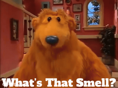 Bear Inthe Big Blue House Whats That Smell GIF