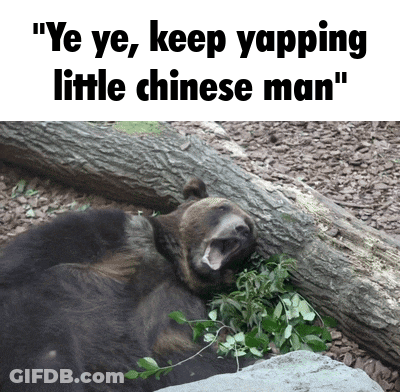 Bear Laying On Log Ye Ye Keep Yapping Little Chinese Man GIF