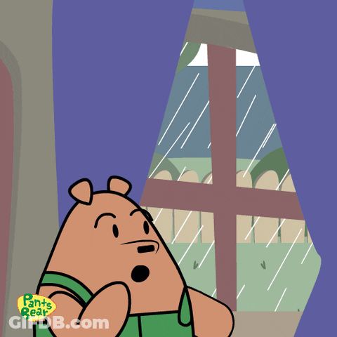 Bear Looking Out Window With Pants Bear GIF