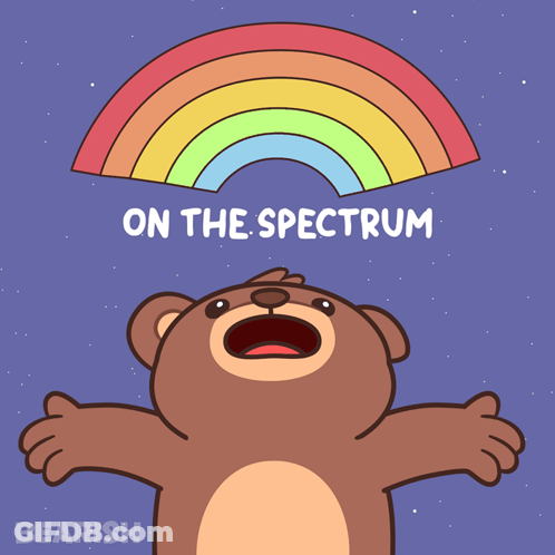 Bear Looking Up At Rainbow GIF