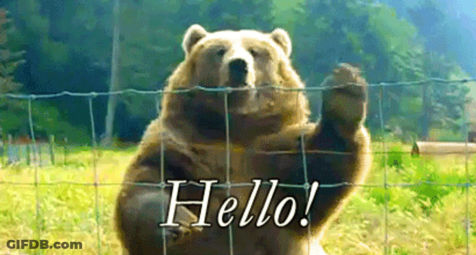 Bear Love Waving Hello Behind Fence GIF