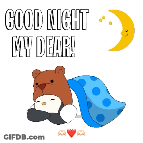 Bear Lying Under Blanket Good Night GIF