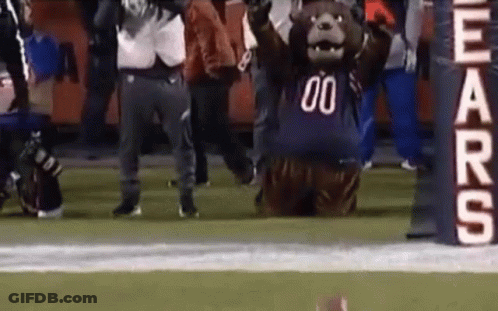 Bear Mascot In Number 00 Jersey Kneeling On Football Field GIF