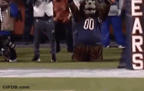 Bear Mascot Kneeling On Football Field GIF