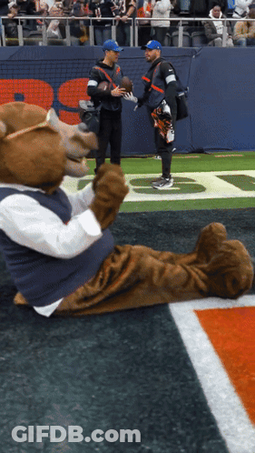 Bear Mascot Lying On Field With Football GIF