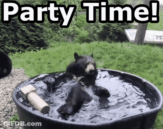 Bear Party Time GIF