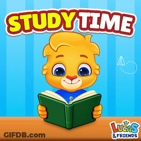 Bear Reading Book Study Time GIF