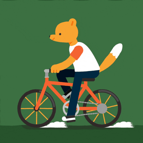 Bear Riding Bike GIF