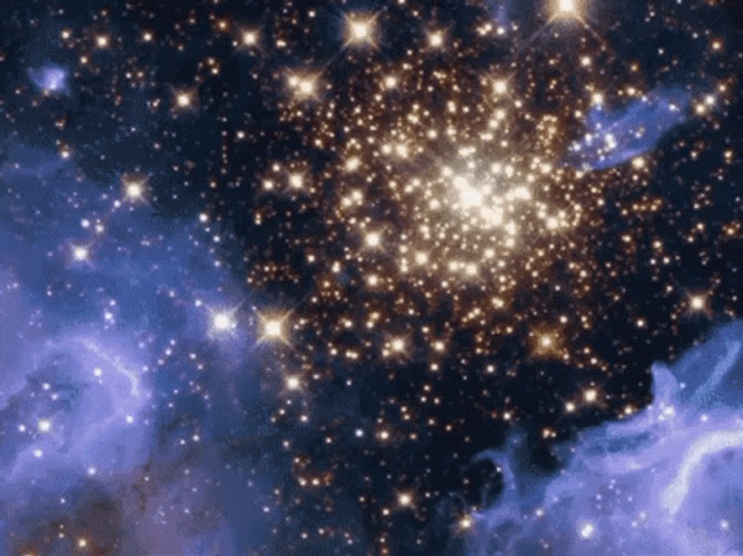 Bear Riding Yellow Unicorn In Outer Space GIF