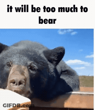 Bear Saying It Will Be Too Much To Bear GIF