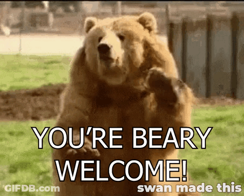 Bear Saying You Re Beary Welcome GIF