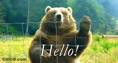 Bear Says Hello Behind Wire Fence GIF
