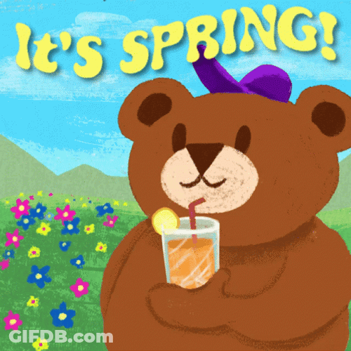 Bear Sipping Juice Happy Spring GIF
