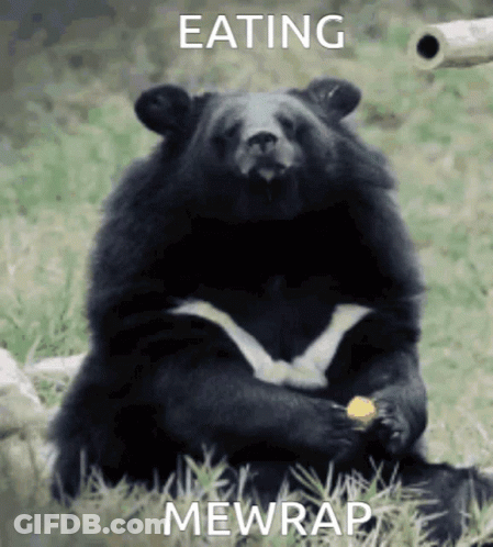 Bear Sitting In Grass Eating Food With Caption Eating Mewrap GIF