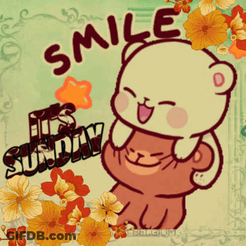 Bear Smile It's Sunday GIF