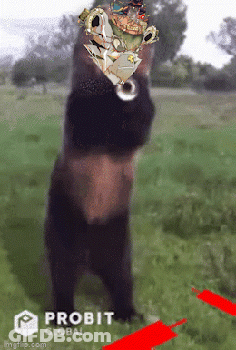 Bear Standing In Field With Probit Logo GIF