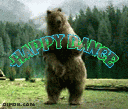 Bear Standing On Hind Legs Happy Dance GIF