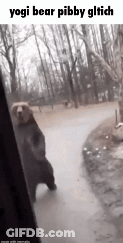 Bear Standing On Hind Legs On Sidewalk GIF