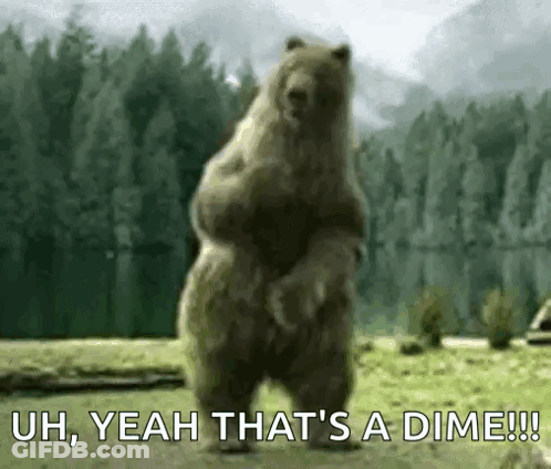 Bear Standing On Hind Legs Saying Uh Yeah That's A Dime GIF