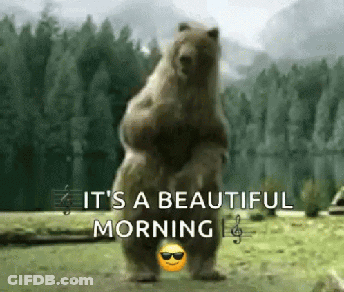 Bear Standing Saying It's A Beautiful Morning GIF