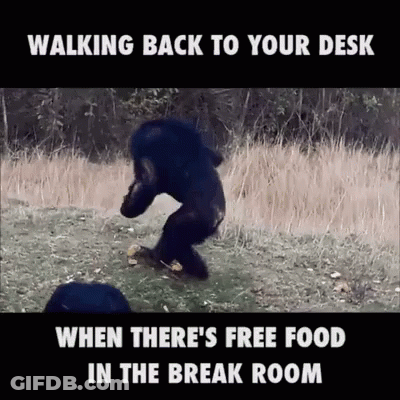 Bear Walking To Desk For Free Food In Break Room GIF