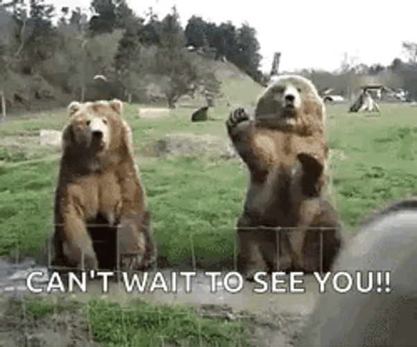 Bear Waving Cant Wait To See You GIF