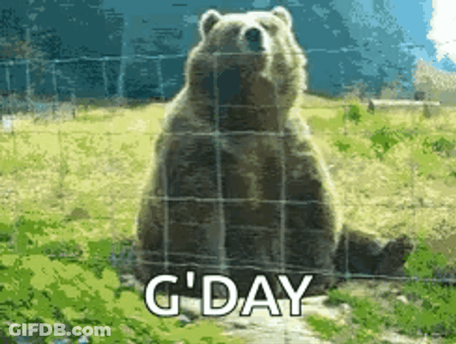 Bear Waving Good Day GIF