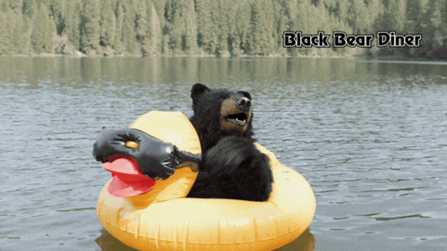 Bear Waving In A Duck Floater GIF