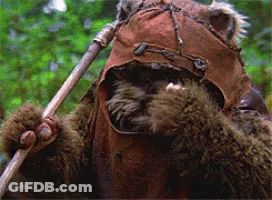 Bear Wearing Brown Hat Holding Stick GIF