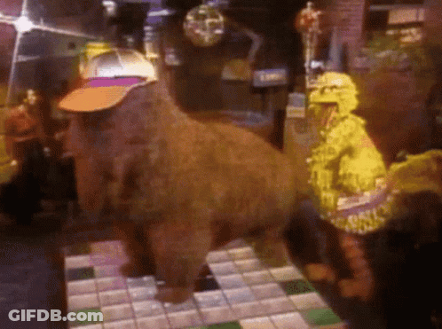 Bear Wearing Hat GIF
