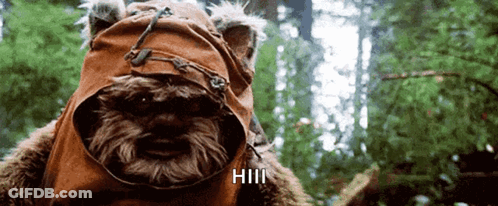 Bear Wearing Hill Hat GIF