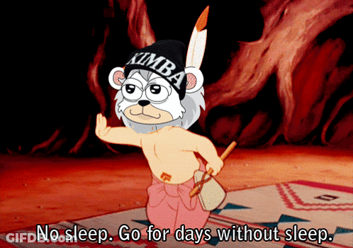 Bear Wearing Kimba Beanie GIF