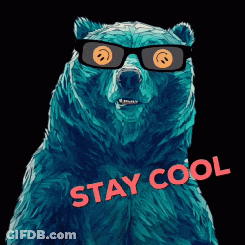 Bear Wearing Sunglasses Says Stay Cool GIF