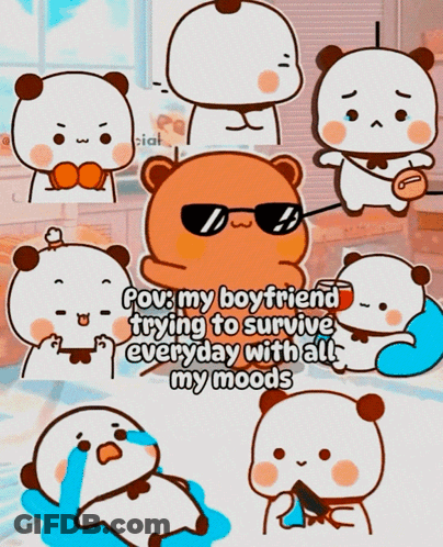 Bear Wearing Sunglasses Surviving Moods GIF
