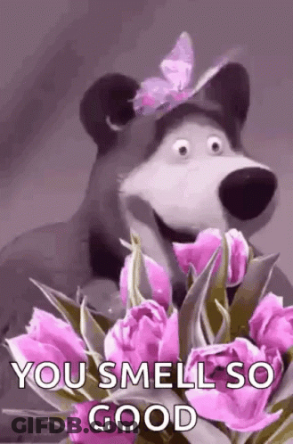 Bear With Butterfly On Head Holding Pink Flowers Saying You Smell So Good GIF