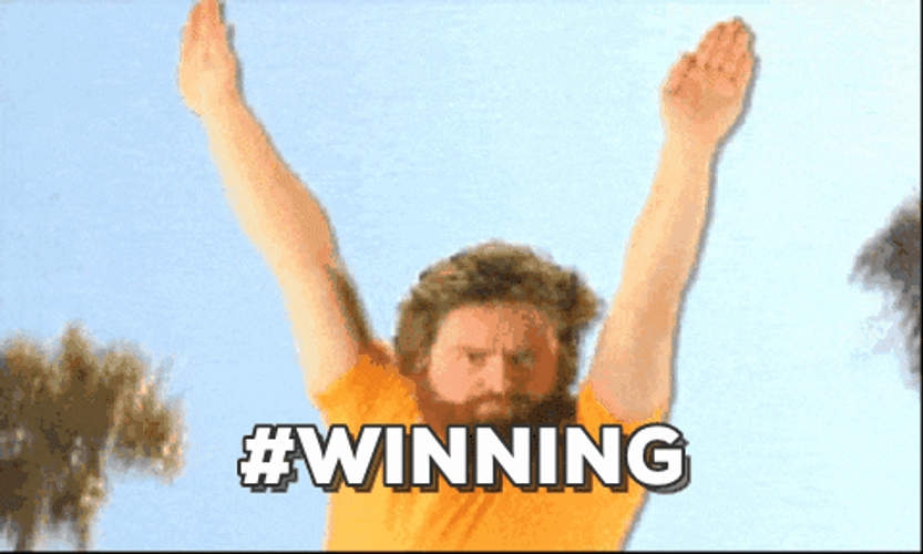 Beard Man Win Fly GIF