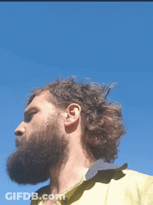 Bearded Guy In Mullet Shaking Head GIF