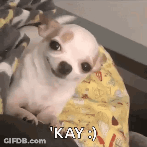 Bearded Long Haired Man In Starr Shirt GIF