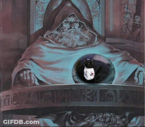 Bearded Man And Black Cat At Table With McD Sign GIF