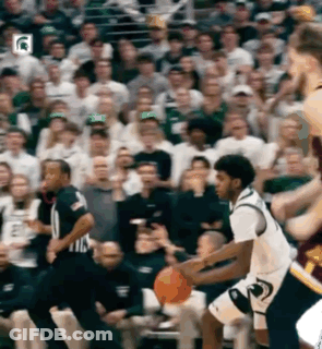 Bearded Man Applauds Saying You Love The Great Lakes GIF