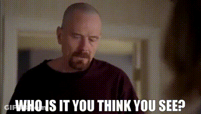 Bearded Man Asking Who Is It You Think You See GIF