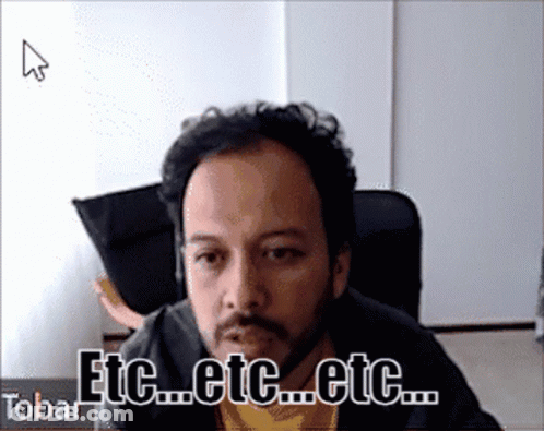Bearded Man At Screen Saying Etc Etc Etc GIF