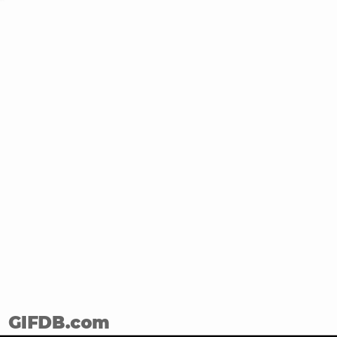 Bearded Man Dancing What She Said GIF