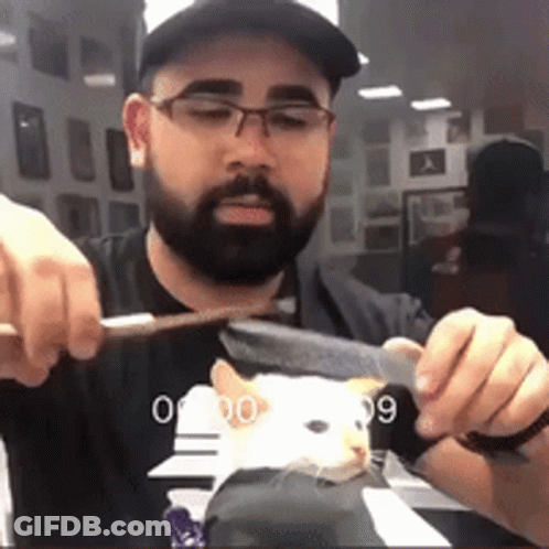 Bearded Man Glasses Holding Knife Brush Cat GIF