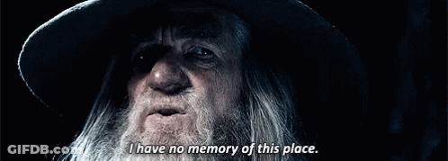 Bearded Man Hat Saying I Have No Memory GIF