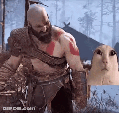 Bearded Man Holding Cat Picture GIF