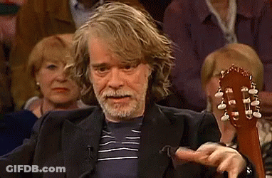 Bearded Man Holding Guitar In Front Of Crowd GIF